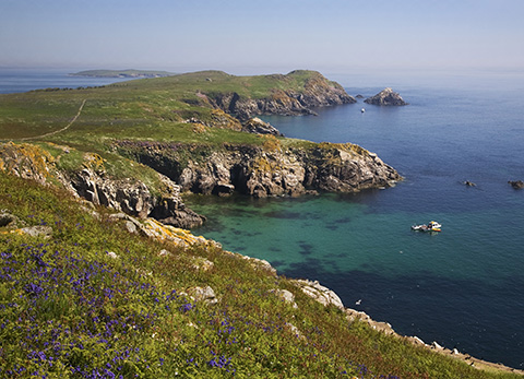 Saltee Islands